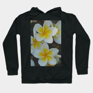 Flower Fair Hoodie